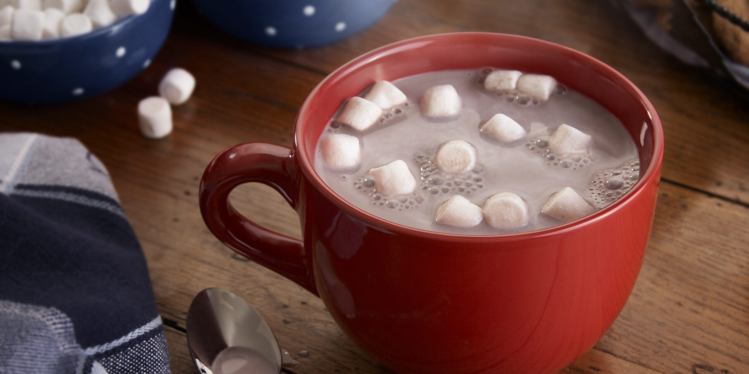 Mug of Hot Chocolate and Marshmallows